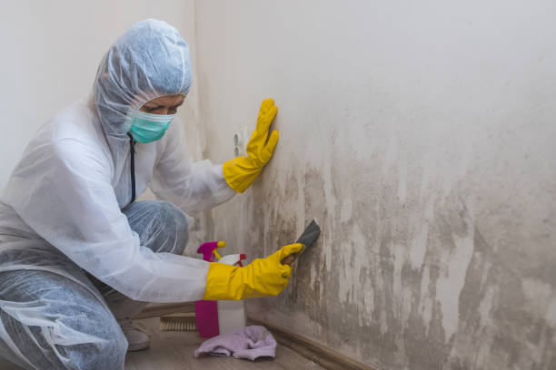 Best Crawl Space Mold Removal  in Callaway, MD