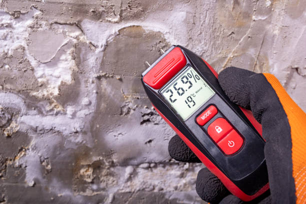 Best Certified Mold Removal  in Callaway, MD