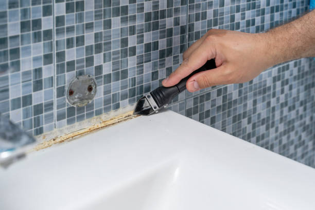 Best Professional Mold Removal  in Callaway, MD