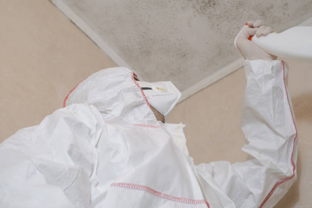 Best Commercial Mold Removal  in Callaway, MD